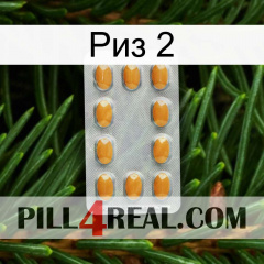 Риз 2 cialis3